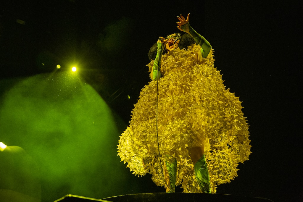 Björk während eines Auftrittes